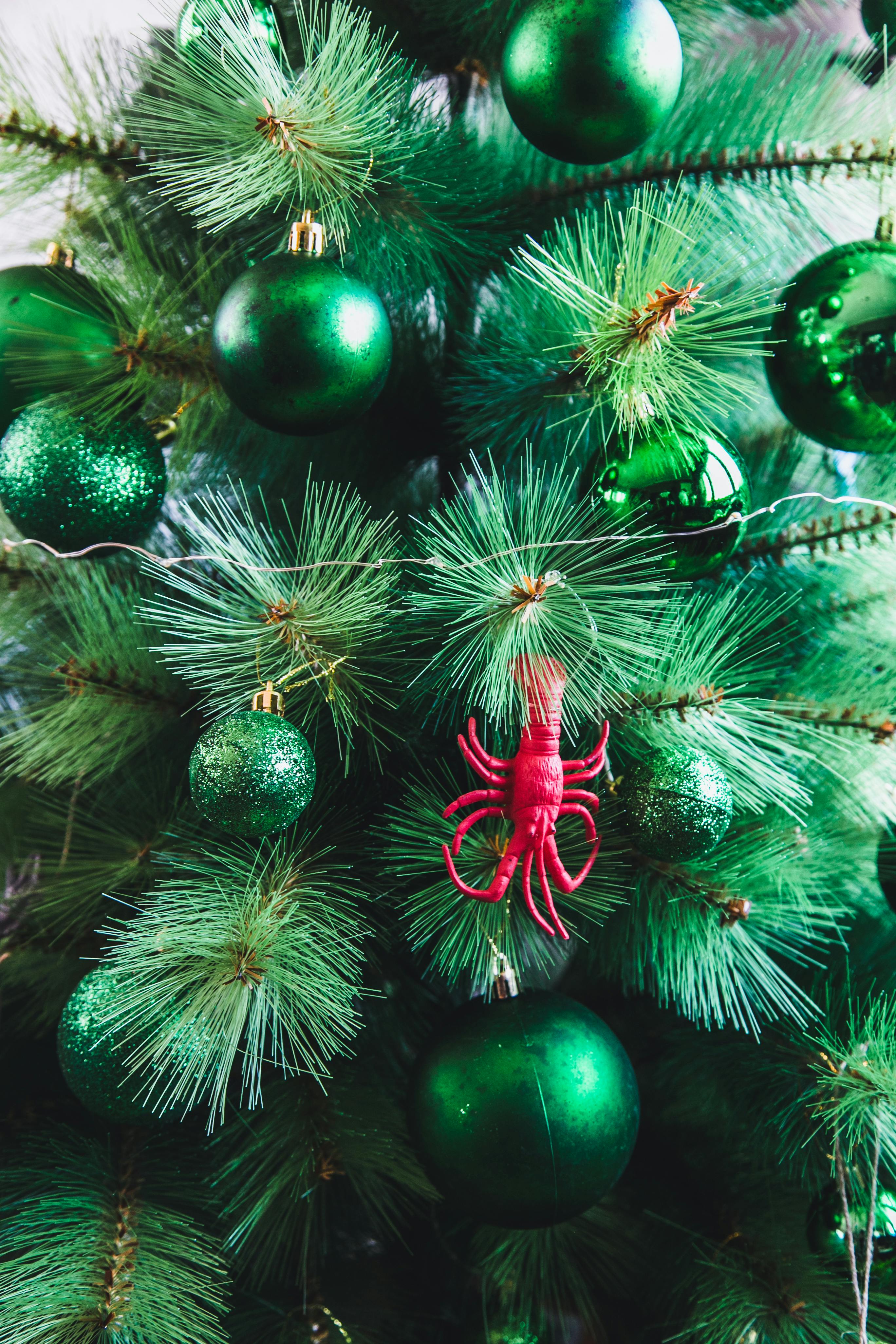 Green Christmas Tree · Free Stock Photo