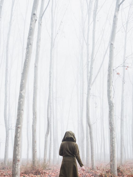 Person Standing Near Trees