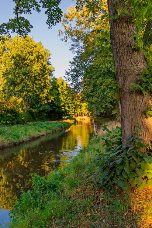 Free Serene summer river landscape surrounded by lush greenery and tall trees, perfect for nature lovers. Stock Photo