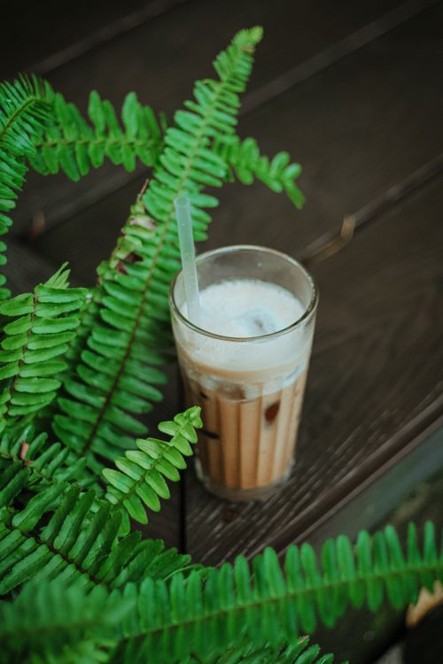 Free A refreshing iced coffee with milk on a wooden table beside vibrant green fern leaves. Stock Photo