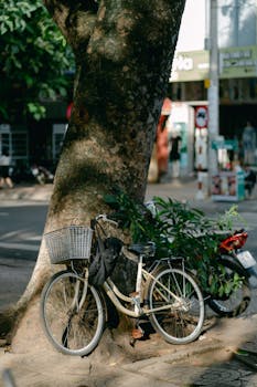 A quaint vintage bicycle with a basket leans against a tree on a sunny day in an urban setting.