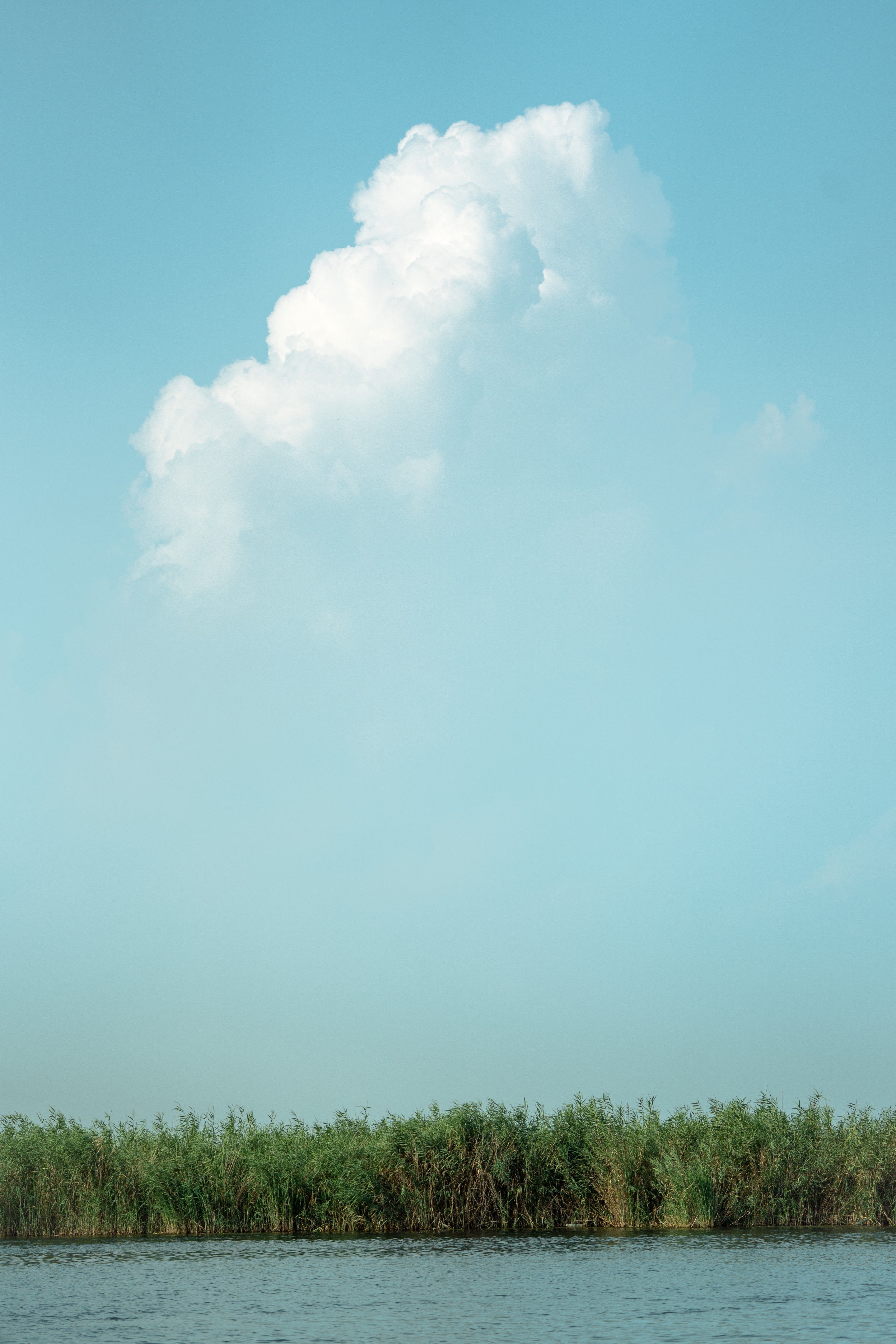 Serene sky over lush green marshland, South Sudan