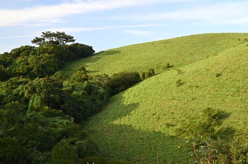 Free Scenic view of green hills in Madikeri, India showcasing natural beauty. Stock Photo