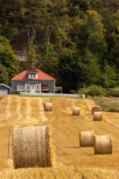 Free Beautiful rural landscape with hay bales and a red-roofed house in Gränna, Sweden. Stock Photo