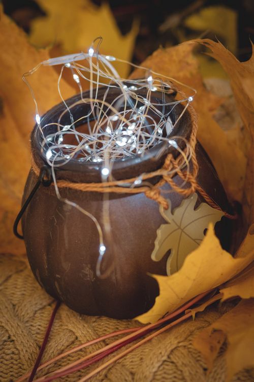 Free Warm autumn ambiance with fairy lights in a rustic pot surrounded by leaves. Stock Photo
