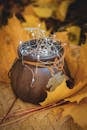 Rustic Lantern with Autumn Leaves and String Lights