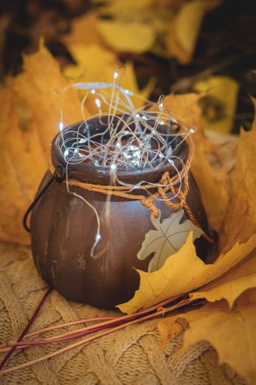 Free Cozy autumn-themed image with a rustic lantern surrounded by yellow leaves and string lights. Stock Photo