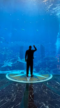 Person viewing marine life through large aquarium window in Dubai.