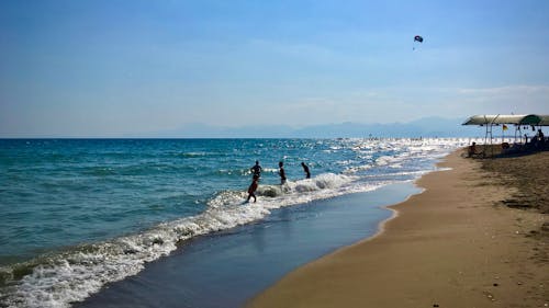 Foto profissional grátis de areia da praia, litoral, paraquedas
