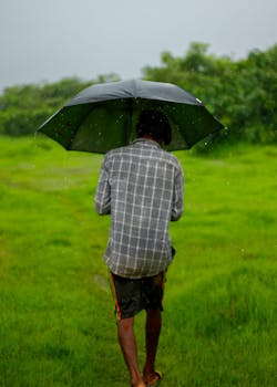 A solitary man walking through lush greenery in Indian countryside, enjoying the monsoon rain under an umbrella.