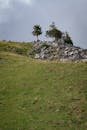 Tranquil Green Hillside with Rocky Outcrop