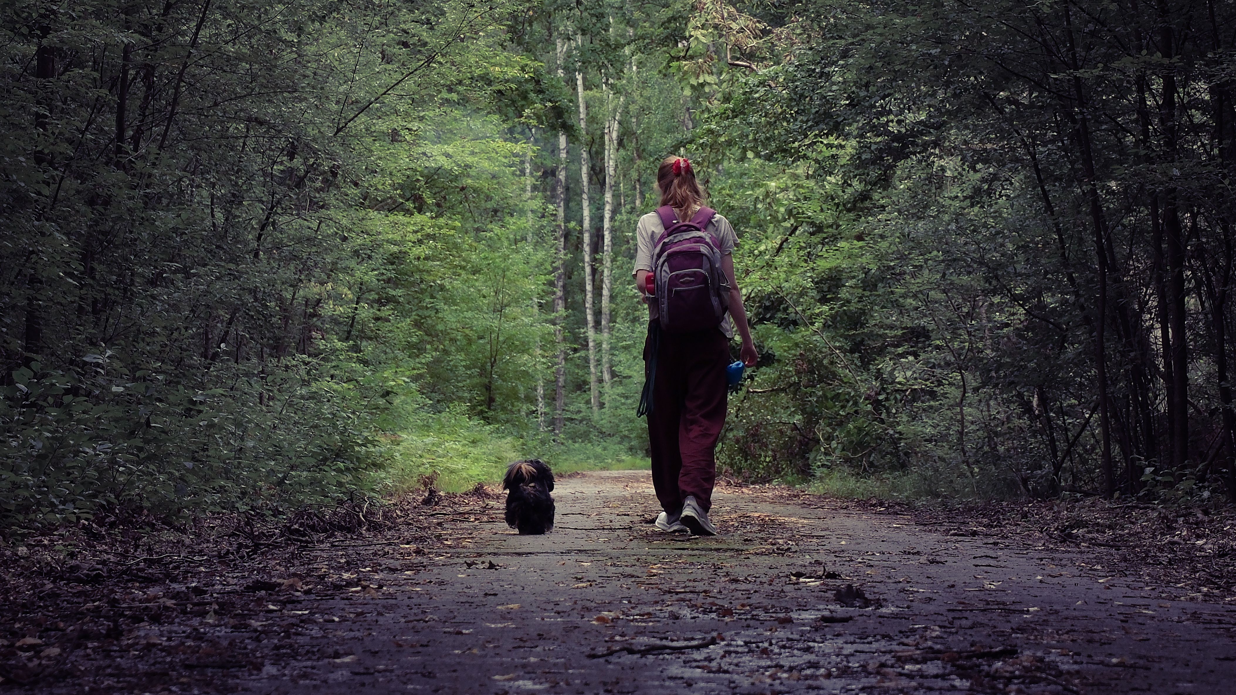 A woman with a backpack walks her dog through a lush, peaceful forest path, capturing nature\'s tranquility.
