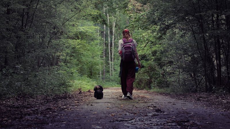 Hiking