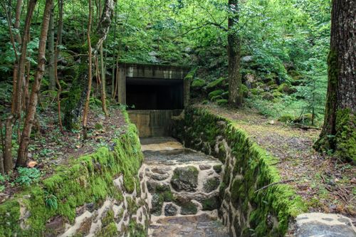 Free Moss-covered stone pathway leads to a tunnel in a lush forest near Canfranc-Estación. Stock Photo