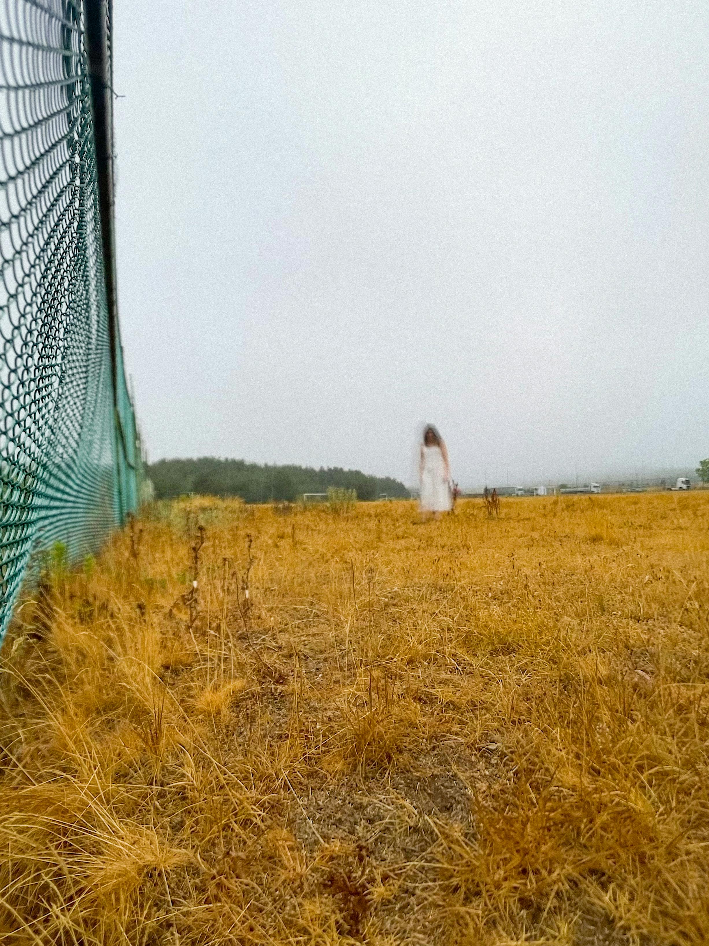 bezplatná Základová fotografie zdarma na téma bílé šaty, divoká louka, estetická povaha Základová fotografie
