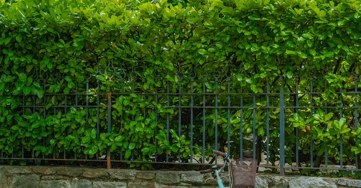 皇翔臺北廣場榮獲LEED黃金級認證 三大認證加持搶攻國際ESG商辦市場