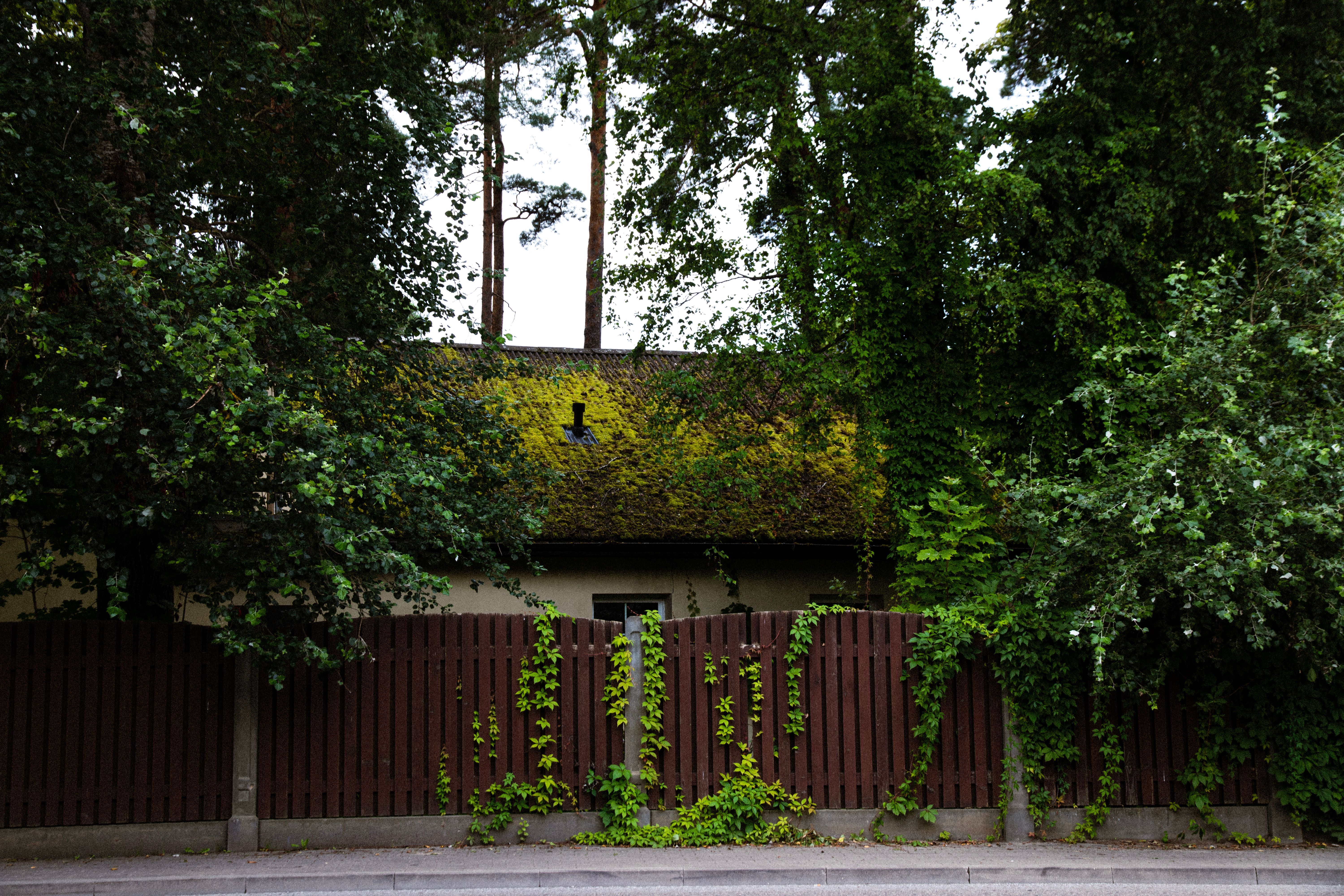 The hidden reason mortgage rates won’t drop yet — Photo by Reinis Brūzītis on Pexels