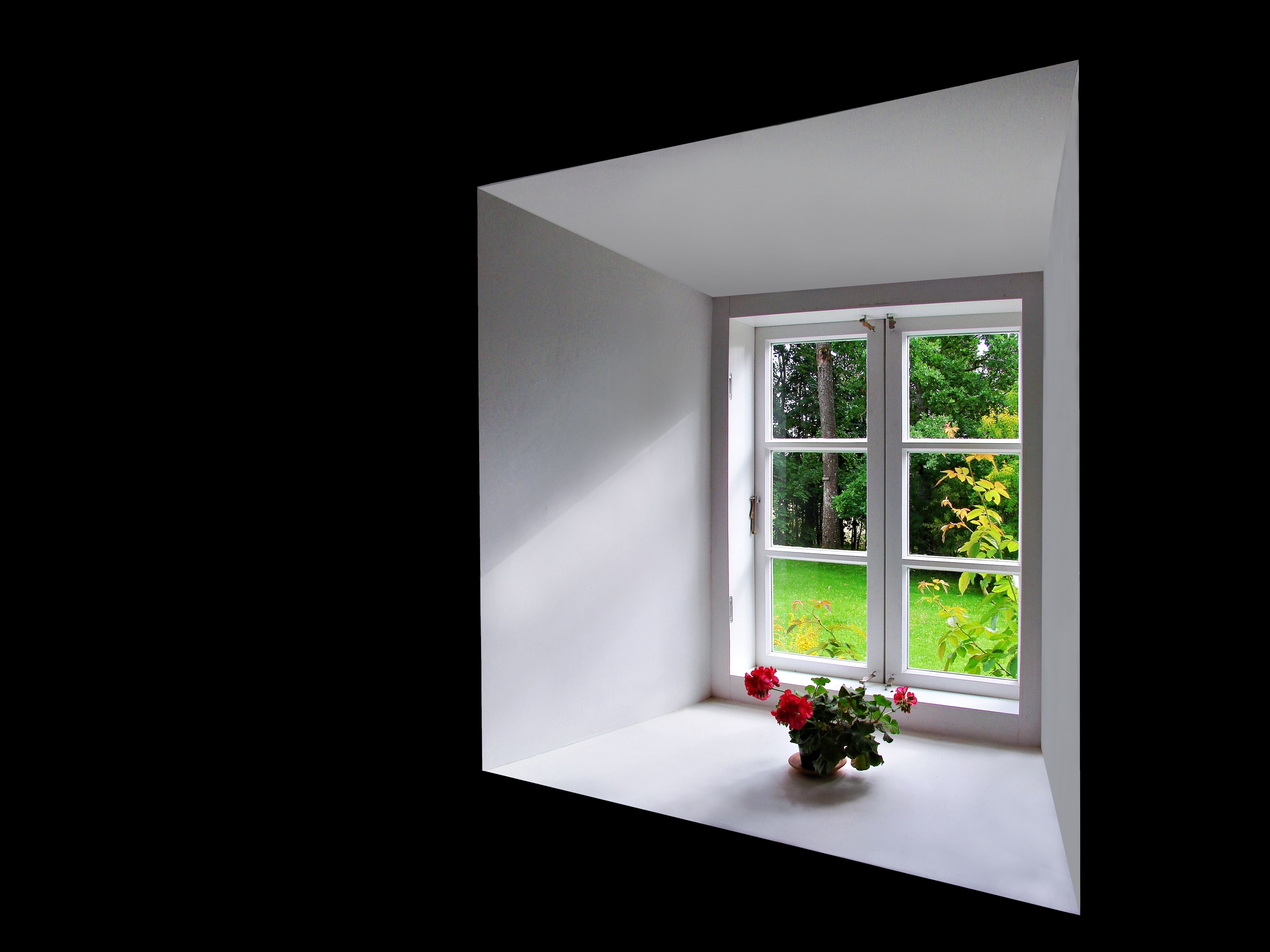 Bright Window View with Indoor Flowers · Free Stock Photo