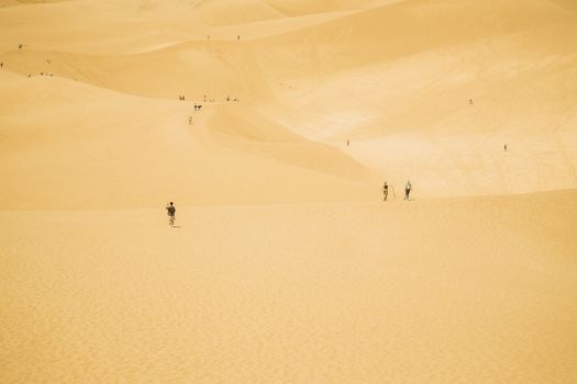 Hikers explore the vast, golden sand dunes under clear skies in Colorado, USA.