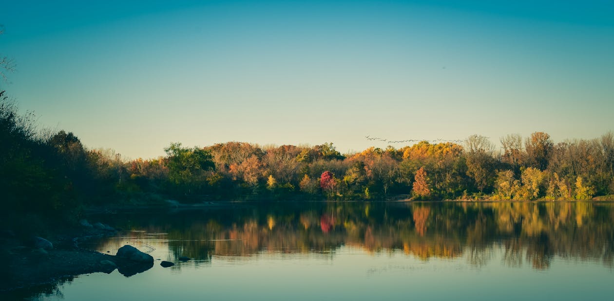 Photo of Lake Near Trees