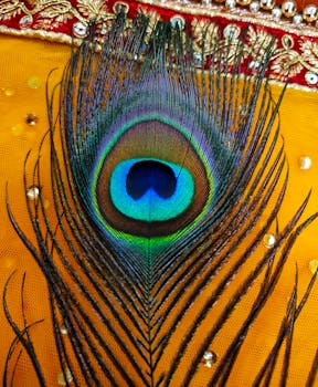 Close-up of a vibrant peacock feather against an ornate fabric background with red and gold details.
