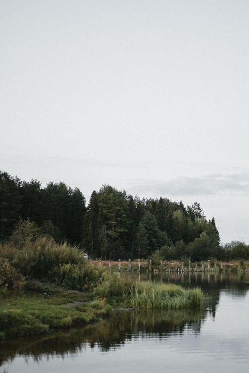 Free Peaceful river scene with lush forest, perfect for nature lovers. Stock Photo