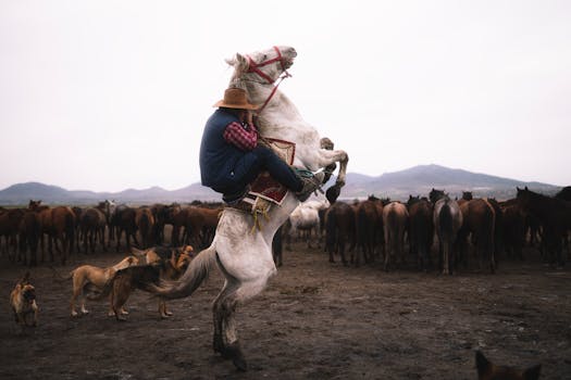 A cowboy skillfully rides a rearing horse amidst a herd in the scenic landscapes of Kayseri, Turkey.