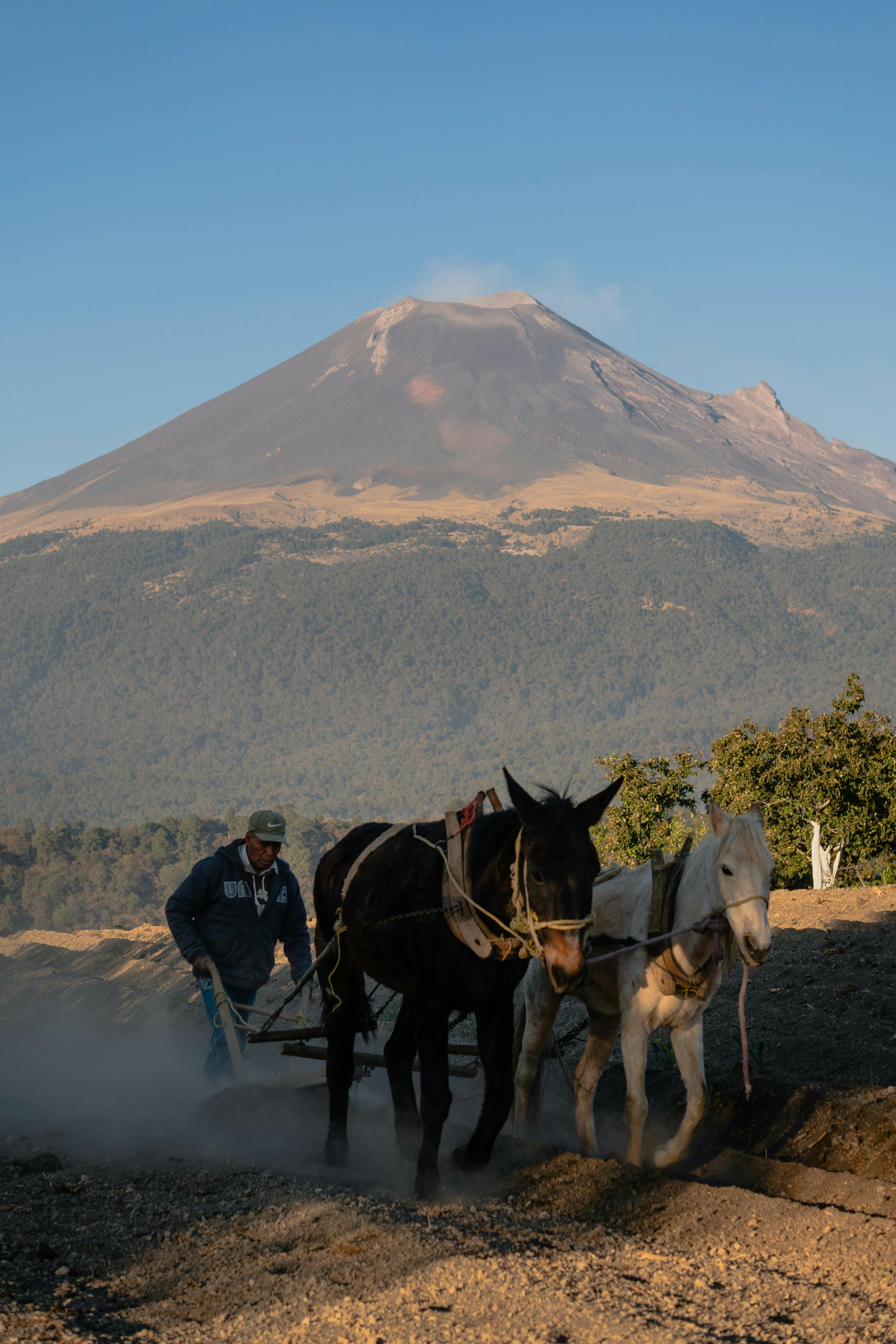 Biofarm insights image