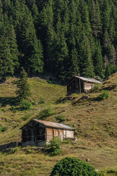 Free Two rustic wooden cabins on a grassy hillside surrounded by lush forest. Stock Photo