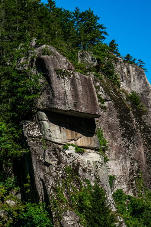 Free Vibrant green forest atop a majestic rock cliff under clear blue sky. Stock Photo