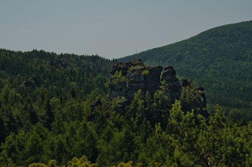 Free Explore the lush greenery and striking rock formations of Zittauer Gebirge in Saxony, Germany, under a clear blue sky. Stock Photo