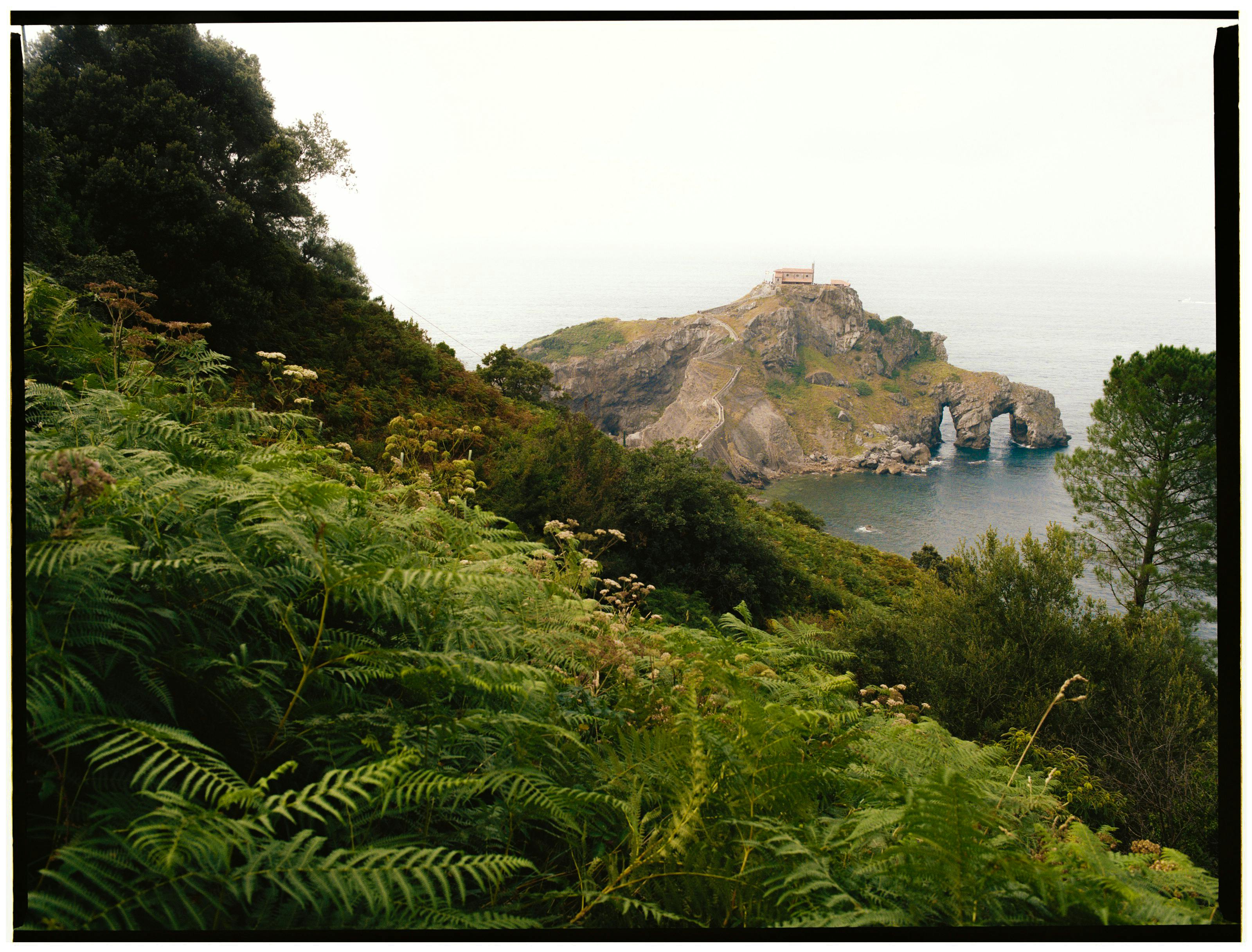 Lush hillside overlooking the iconic Gaztelugatxe in Spain, showcasing natural beauty.