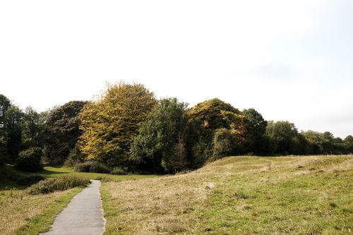 Free A serene path leading through a park with autumn trees and grassy fields under a bright sky. Stock Photo