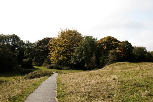 Free A serene pathway winds through a vibrant autumn park, surrounded by colorful trees under a clear sky. Stock Photo