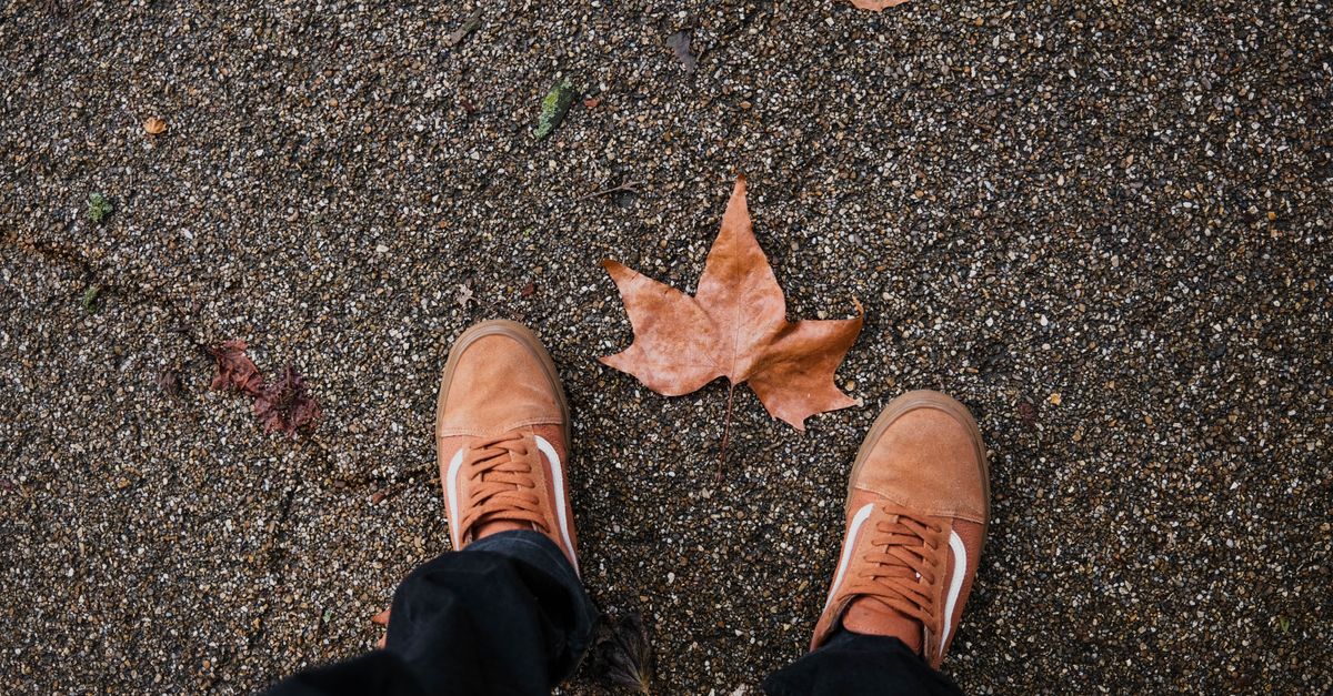 A pair of sneakers stand on a gravel path with autumn leaves, showcasing seasonal fashion.