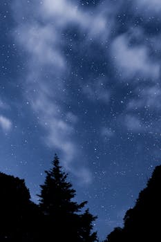 A breathtaking view of a starry night sky with silhouetted trees in Amecameca, Mexico.