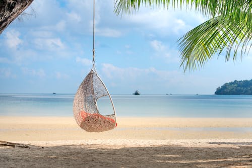 Amazing view of cozy wicker egg chair hanging on palm above sandy beach against endless blue sea in tropical resort