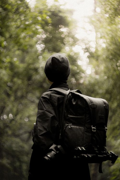 Free A lone backpacker with camera explores a lush, green forest in Amecameca, Mexico. Stock Photo