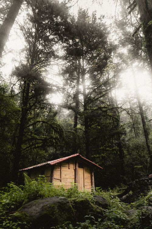 Free Rustic cabin nestled in the misty forests of Amecameca, Mexico, offering a tranquil escape in nature. Stock Photo