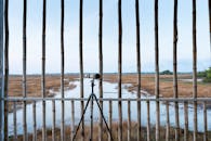 摄像机架在三脚架上，透过竹栅栏捕捉湿地的宁静景色