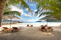 在阳光明媚的日子里，可以欣赏到棕榈树、遮阳伞和躺椅构成的放松热带海滩景色