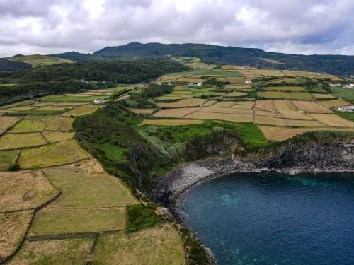 Free Scenic aerial of terraced fields by the ocean, lush and serene. Stock Photo