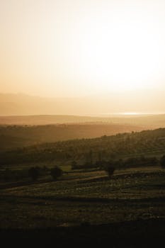 Serene rural scene with sunlit rolling hills and a peaceful dawn sky.