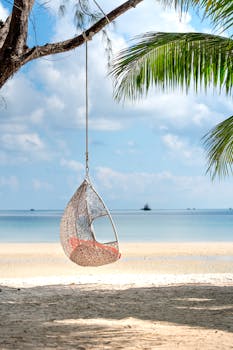 热带海滩上悬挂的秋千椅，营造了一个非常适合放松的和平场景