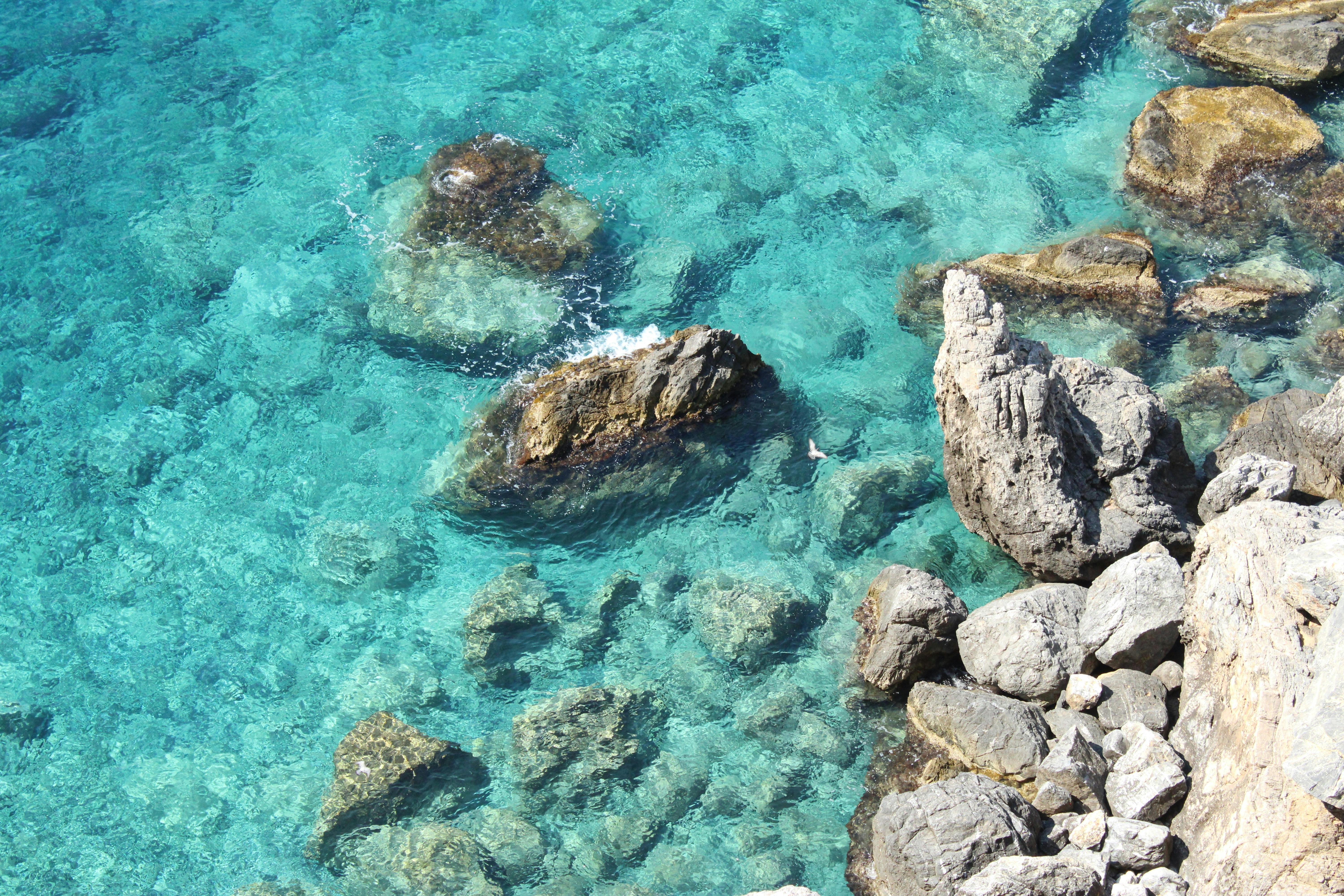 Aerial view of turquoise sea water and a rocky shoreline, captured in natural daylight. - Photo by Charlie Jordan on Pexels