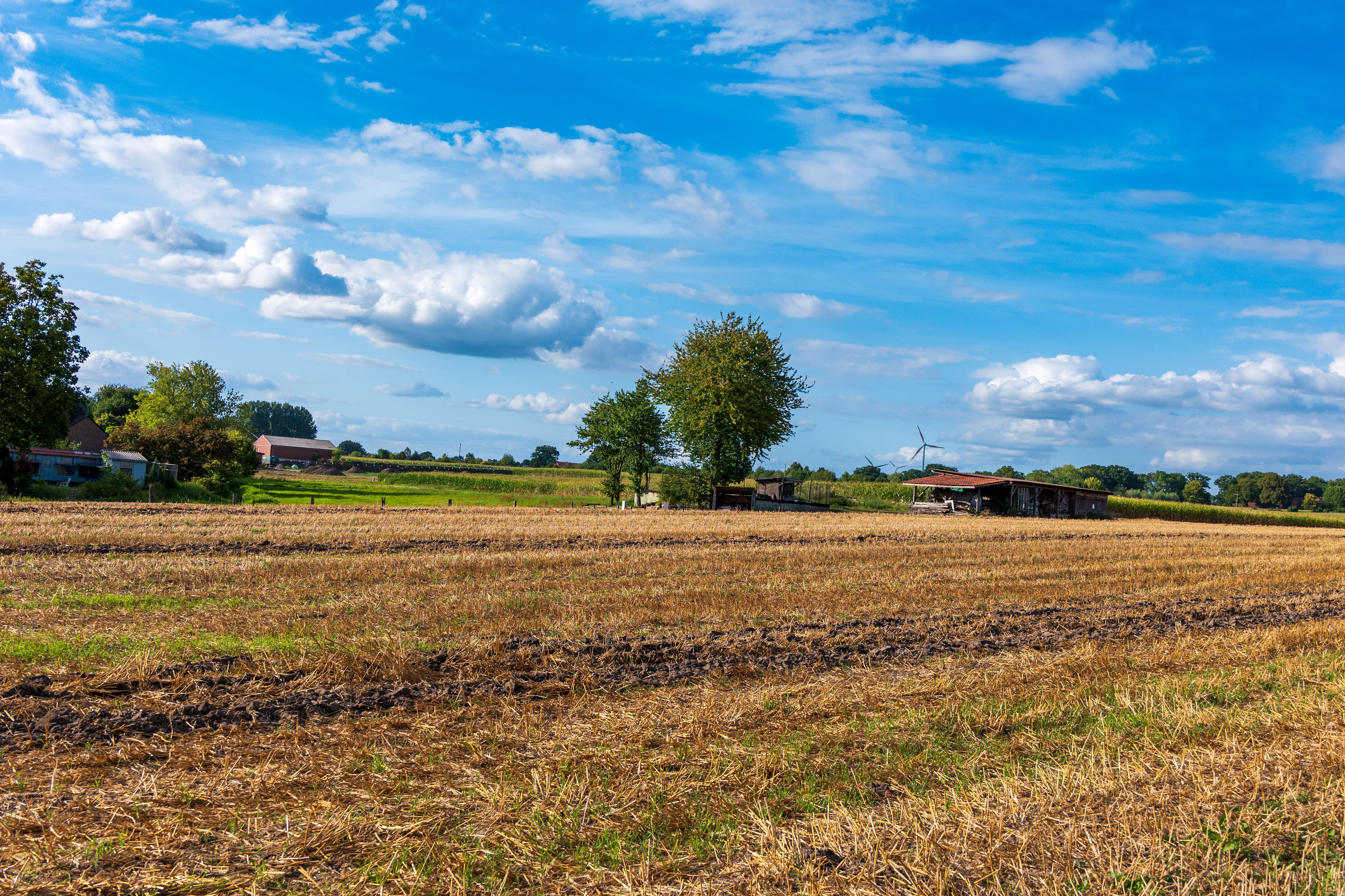 Campo agrícola con vegetación bajo cielo despejado en Entre Ríos