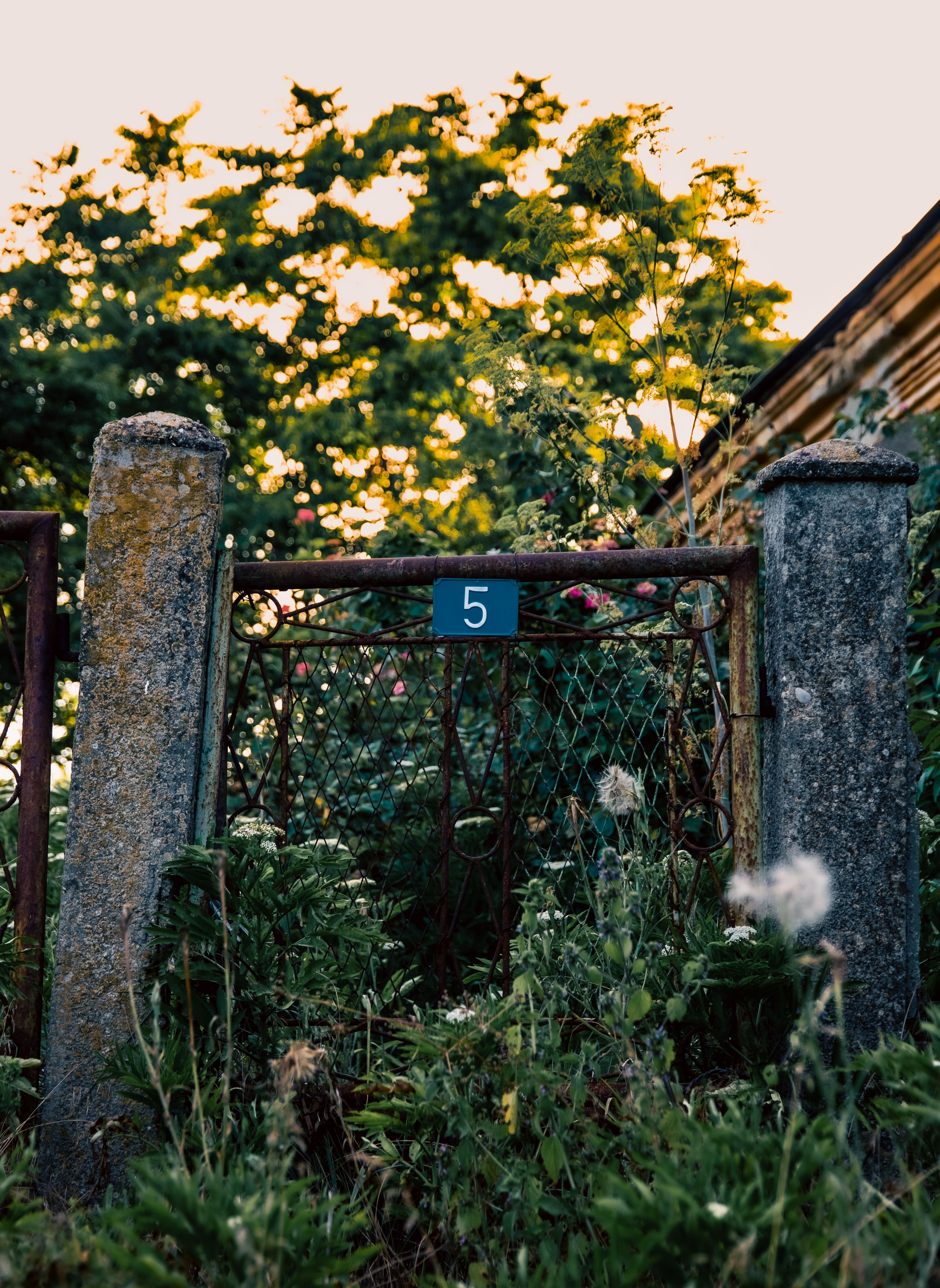 Rustic metal gate with number 5 amidst overgrown greenery, set against a summer sunset backdrop.