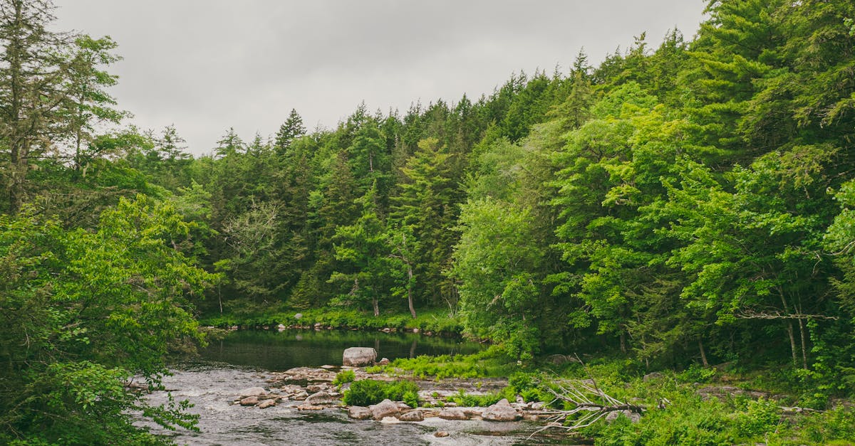 保育團體力推布袋鹽田濕地升級為國際級保護區
