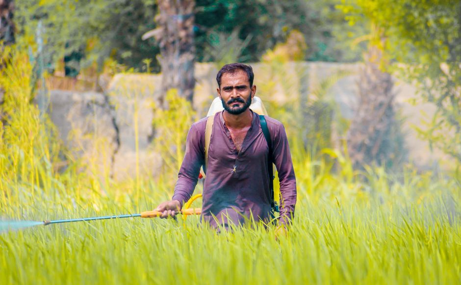 Punjab Farmers Support E20 Fuel Program as Tool for Income and Diversification