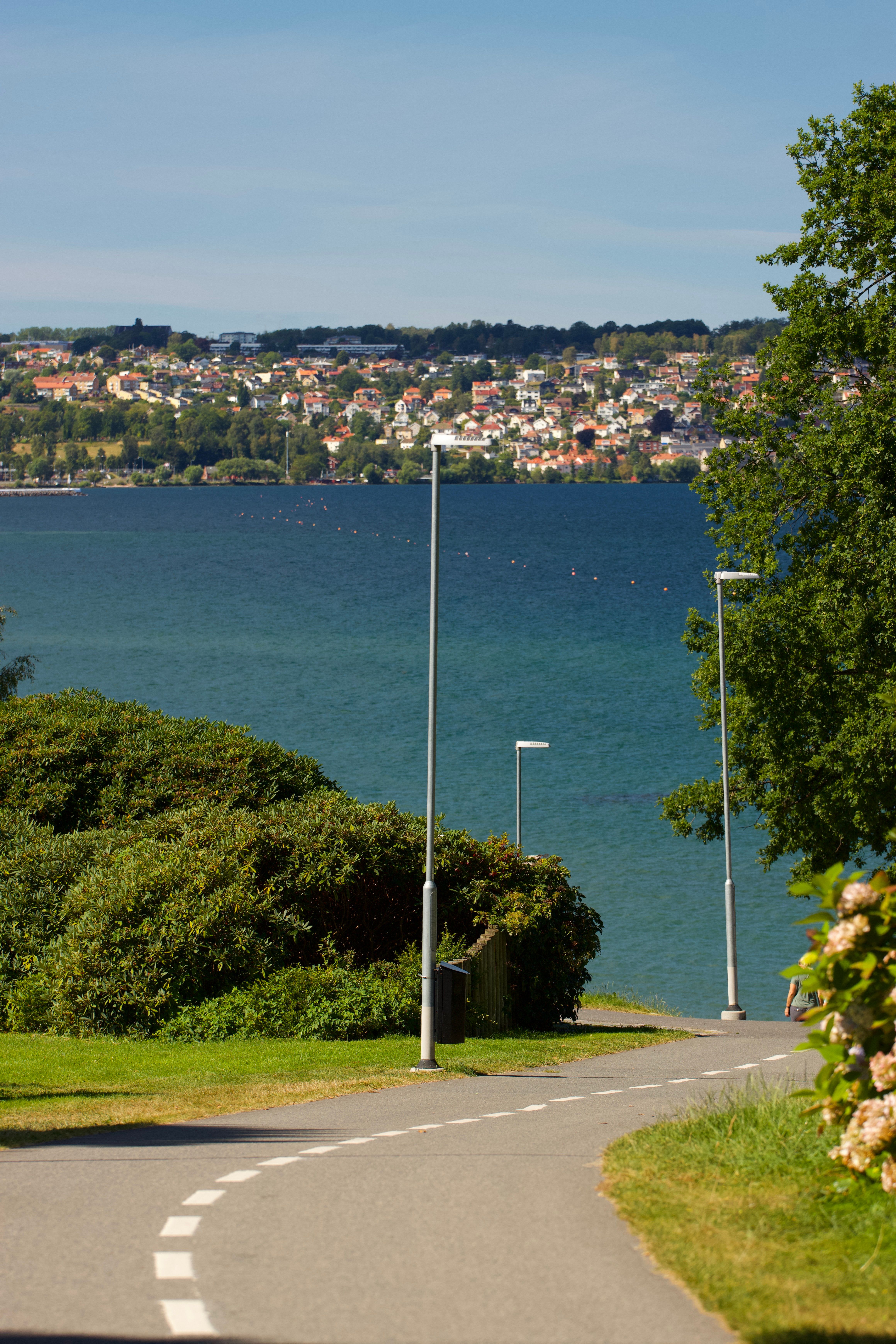 Gratis Smuk udsigt over en sti, der fører til Vättern-søen i Jönköping, Sverige på en solrig sommerdag. Lagerfoto